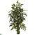 Silk Plants Direct Fishtail Palm - Green - Pack of 1