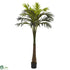 Silk Plants Direct Coconut Palm - Pack of 1