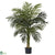 Silk Plants Direct Golden Cane Palm Tree - Pack of 1
