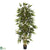 Silk Plants Direct Bamboo Tree - Pack of 1