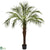 Silk Plants Direct Robellini Palm Tree - Pack of 1