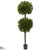 Silk Plants Direct Sweet Bay Double Ball Topiary - Pack of 1
