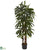 Silk Plants Direct Raphis Palm Tree - Pack of 1