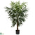 Silk Plants Direct Bulb Areca Tree - Pack of 1