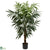 Silk Plants Direct Bulb Areca Tree - Pack of 1