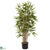 Silk Plants Direct Twiggy Bamboo Tree - Pack of 1