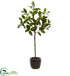 Silk Plants Direct Topiary - Pack of 1