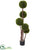 Silk Plants Direct Boxwood Topiary x5 - Pack of 1