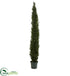 Silk Plants Direct Mini Cedar Pine Tree w/4249 tips - Pack of 1