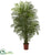 Silk Plants Direct Areca Palm W/1966 Lvs - Pack of 1