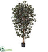 Silk Plants Direct Capensia Ficus Tree x 3 - Pack of 1