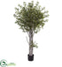Silk Plants Direct Olive Tree W/3864 Lvs - Pack of 1