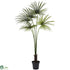 Silk Plants Direct Fan Palm - Pack of 1