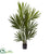 Silk Plants Direct Kentia Palm - Pack of 1