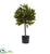 Silk Plants Direct Sweet Bay Mini Ball Topiary - Pack of 1