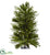 Silk Plants Direct Mixed Pine Tree - Pack of 1