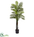 Silk Plants Direct Double Robellini Palm - Pack of 1