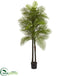Silk Plants Direct Double Robellini Palm - Pack of 1