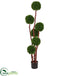 Silk Plants Direct New Boxwood - Pack of 1