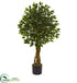 Silk Plants Direct Ficus Artificial - Pack of 1