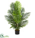 Silk Plants Direct Paradise Palm Artificial Tree - Pack of 1