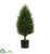 Silk Plants Direct Cypress Tower Artificial - Pack of 1