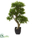 Silk Plants Direct Podocarpus Artificial Tree - Pack of 1