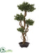 Silk Plants Direct Bonsai Styled Podocarpus Artificial Tree - Pack of 1