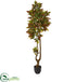 Silk Plants Direct Croton Artificial Tree - Pack of 1