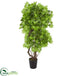 Silk Plants Direct Maple Artificial Tree - Pack of 1