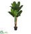 Silk Plants Direct Double Stalk Banana Artificial Tree - Pack of 1