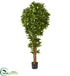 Silk Plants Direct Dracaena Artificial Tree - Pack of 1