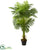 Silk Plants Direct Double Stalk Hawaii Palm Artificial Tree - Pack of 1