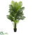 Silk Plants Direct Hawaii Palm Artificial Tree - Pack of 1