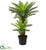 Silk Plants Direct Double Potted Cycas Artificial Tree - Pack of 1