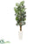 Silk Plants Direct Bamboo Palm Artificial Tree - Pack of 1