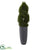 Silk Plants Direct Double Pond Cypress Spiral Artificial Tree - Pack of 1