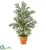 Silk Plants Direct Areca Palm Artificial Tree - Pack of 1