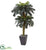 Silk Plants Direct Double Sago Palm Artificial Tree Slate Finished Planter - Pack of 1