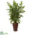 Silk Plants Direct Fishtail Artificial Palm Tree - Pack of 1