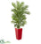 Silk Plants Direct Areca Palm Artificial Tree - Pack of 1