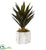 Silk Plants Direct Agave Artificial Plant - Pack of 1