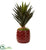 Silk Plants Direct Agave Artificial Plant - Pack of 1