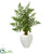 Silk Plants Direct Ruffle Fern Artificial Palm Tree - Pack of 1