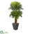 Silk Plants Direct Triple Areca Palm Artificial Tree - Pack of 1