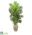 Silk Plants Direct Paradise Palm Artificial Tree - Pack of 1