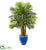 Silk Plants Direct Palm Artificial Tree - Pack of 1