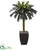 Silk Plants Direct Sago Artificial Palm Tree - Pack of 1