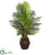 Silk Plants Direct Paradise Palm Artificial Tree - Pack of 1