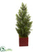 Silk Plants Direct Mini Cedar Pine Artificial Tree - Pack of 1